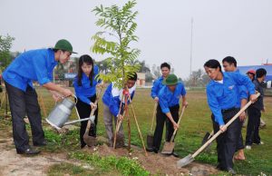 Thanh Hóa: 1,5 triệu cây xanh sẽ được trồng trong dịp “Tết trồng cây”
