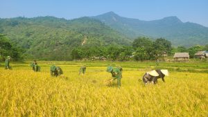 Quảng Bình: Phát triển kinh tế nông thôn gắn với bảo vệ môi trường