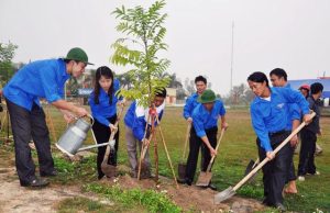 Ngành Giáo dục đẩy mạnh “Tết trồng cây đời đời nhớ ơn Bác Hồ” Xuân Giáp Thìn 2024