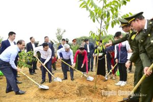 Chủ tịch nước Võ Văn Thưởng phát động Tết trồng cây ‘Đời đời nhớ ơn Bác Hồ’ Xuân Giáp Thìn 2024 tại Tuyên Quang