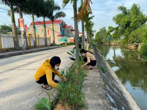 Mở rộng phong trào trồng cây xanh bảo vệ môi trường sinh thái