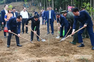 Chủ tịch nước dự lễ phát động Tết trồng cây năm 2026