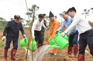 Quảng Ninh phát động phong trào “Tết trồng cây đời đời nhớ ơn Bác Hồ” Xuân Bính Ngọ 2026